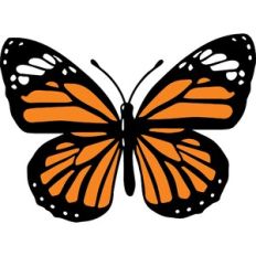 Layered Monarch Butterfly