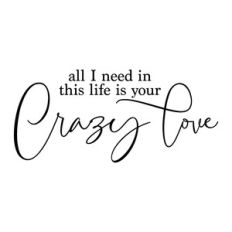 all I need in this life is your crazy love
