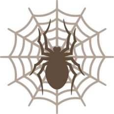 spider and web
