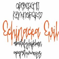 ZP Echinacea Evil