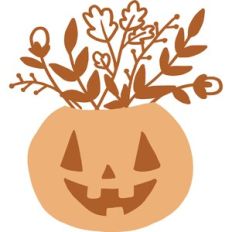Jack-o-Lantern Flowers
