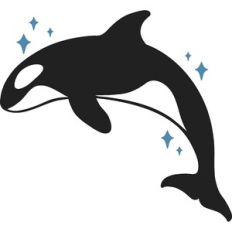 Orca Killer Whale