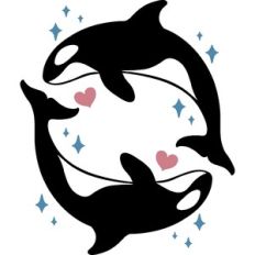 Orca Killer Whale Circle