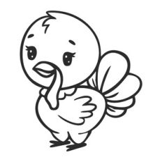 Small turkey