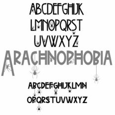 PN Arachnophobia