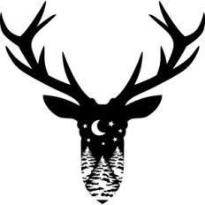 reindeer and pine trees scenery