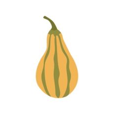 Squash