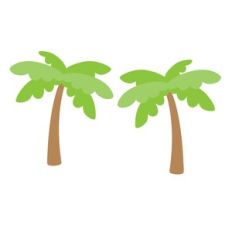 Palm Trees - Fun At The Park