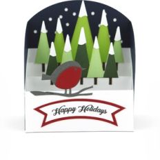 Stadium Box Card Winter Bird