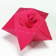 Pentagram box Flower type