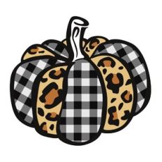 Pumpkin Fashion
