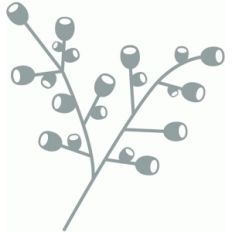 winter berries