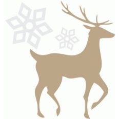 deer