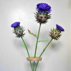 Artisjok Cynara