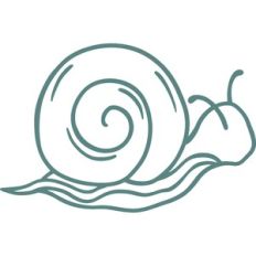 snail