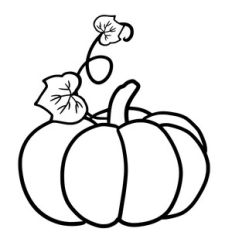 Pumpkin