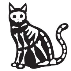 Cat Skeleton