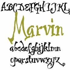 ZP Marvin