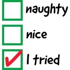 Naughty, Nice, I Tried