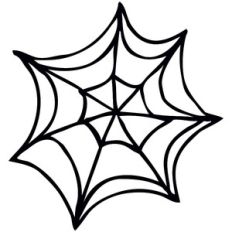 Spiderweb