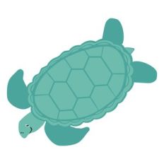 Sea Turtle