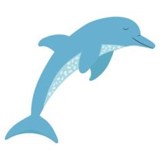 Dolphin
