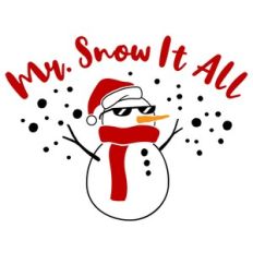 Mr Snow It All