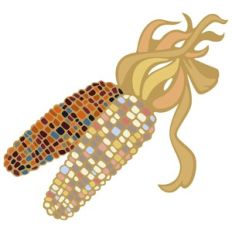 Multi Colored Corn