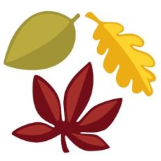 Fall Leaves