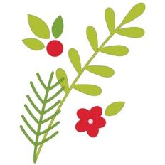 Winter Foliage