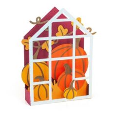 Pumpkin Greenhouse Box Card