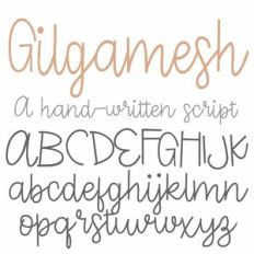 PN Gilgamesh