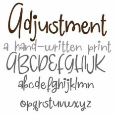 ZP Adjustment