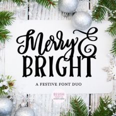 DTC Merry and Bright Christmas Font Duo