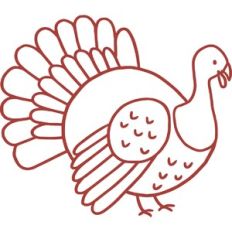 Vinyl Turkey