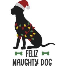 Feliz Naughty Dog