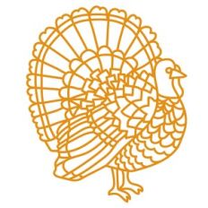 turkey