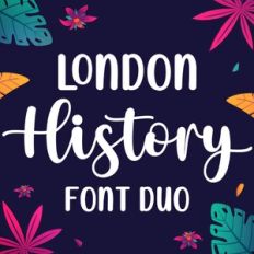  Font Family