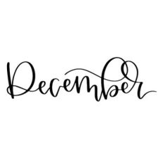 fj scripty December