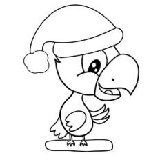 PARROT WITH SANTA HAT
