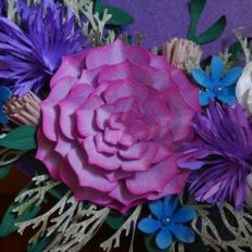 Succulent