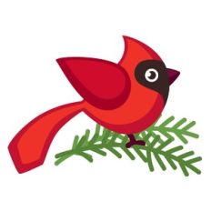 Christmas Cardinal