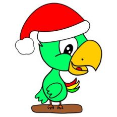 PARROT WITH SANTA HAT