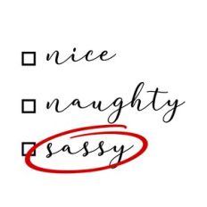 Nice Naughty Sassy Checkboxes