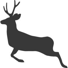 Flying Reindeer