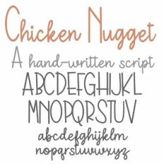 ZP Chicken Nugget