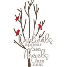 cardinals appear when angels are near