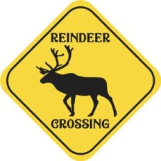 Reindeer Crossing