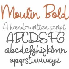 ZP Moulin Bold