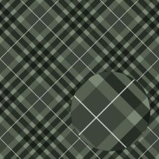 Green and White Christmas Plaid Seamless Pattern